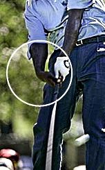 �S���t��B�@�S���t�X�C���O�A���ʐ^