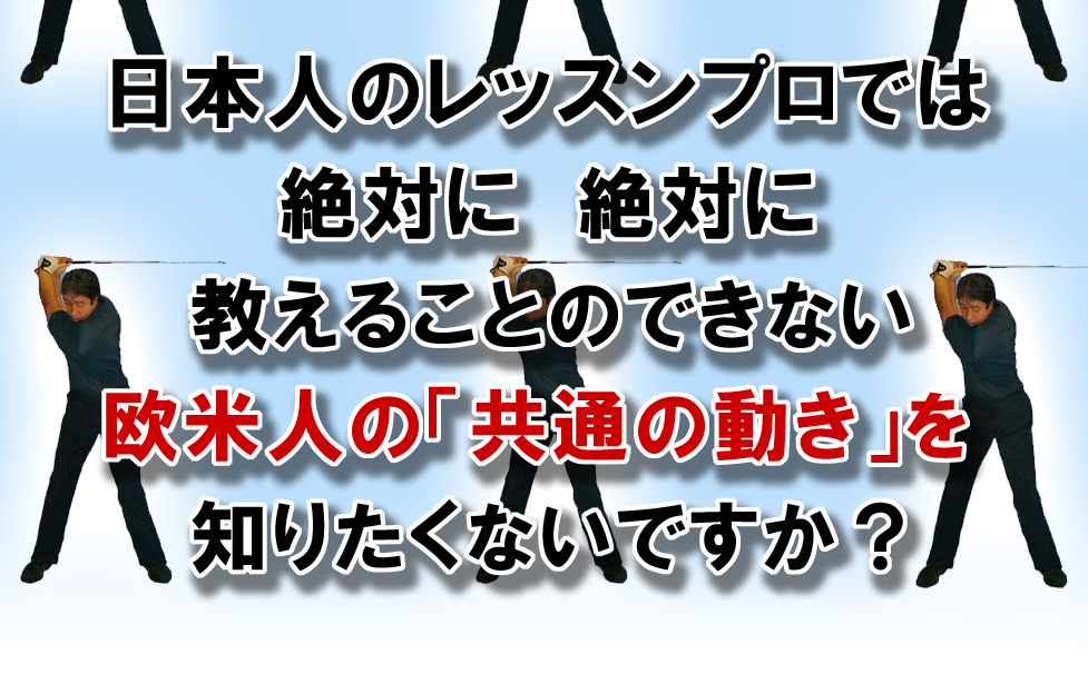 �S���t��B�@�S���t�X�C���O�A���ʐ^